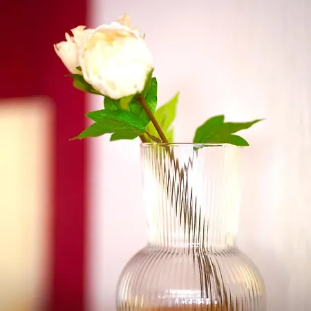 Apartman Grosse Ferienwohnung, In Wehome Komfort